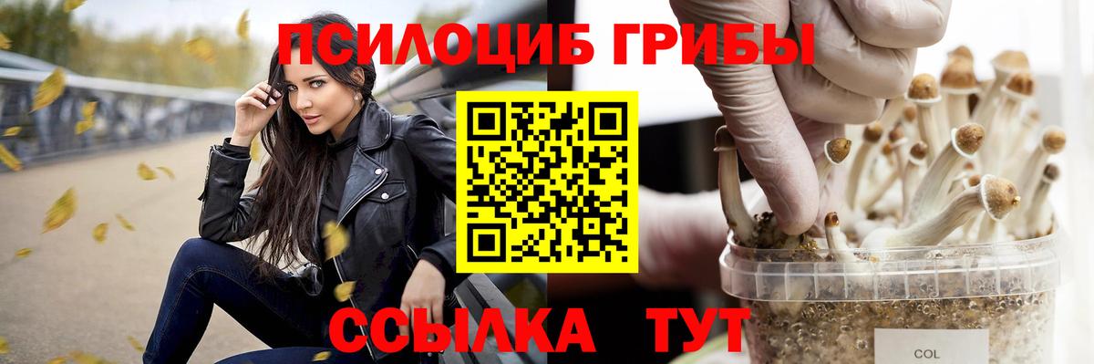 Псилоцибиновые грибы Psilocybe  Псилоцибиновые грибы ЛСД  Серов  Вход с VPN 